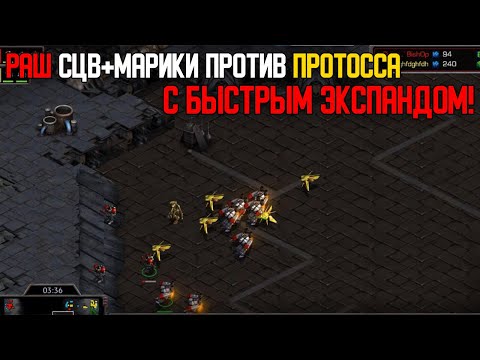 Видео: Старкрафт P VS T Раш раннего экспанда протосса маринами + 6 сцв с бункером!