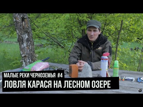 Видео: Ловля карася на Лесном озере / Малые реки Черноземья. Сезон 4. Выпуск 3