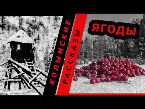 Видео: Варлам Шаламов.  Колымские рассказы.  Ягоды |  🎧 Аудио рассказы