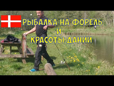 Видео: Рыбалка на форель и красоты Дании