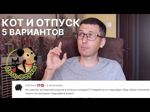 Видео: Едем в отпуск, куда деть (пристроить) кота? 5 вариантов