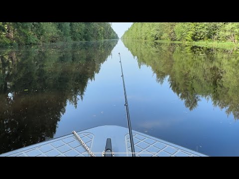 Видео: "Судак" на Волхове июнь 2024. Рыбалка на реке Волхов.