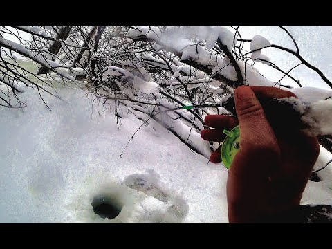 Видео: ОПУСТИЛ ПОД КОРЯГУ, ОНО СРАЗУ СХВАТИЛО!! Первый лед на Оби , крупный окунь, щука.
