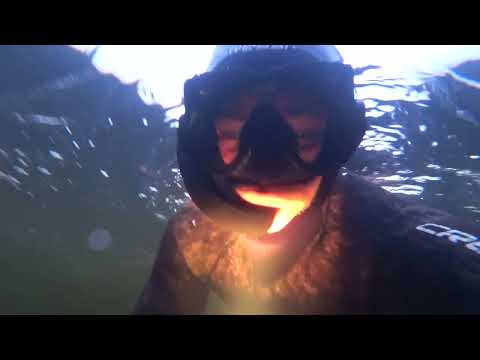 Видео: Підводне полюваня. Пірнаю в коряжнику.