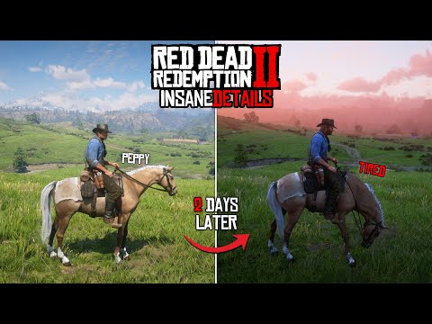 Видео: 18 Безумных деталей в Red Dead Redemption 2 (Часть 2)