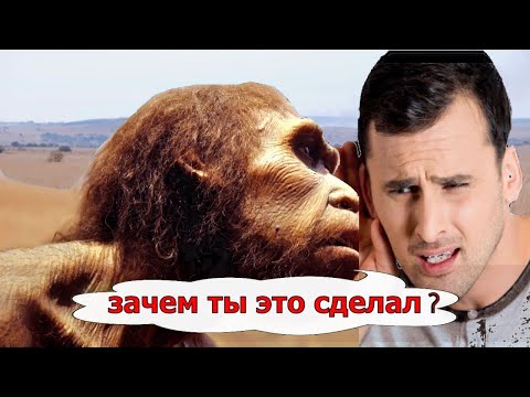 Видео: Премия Дарвина