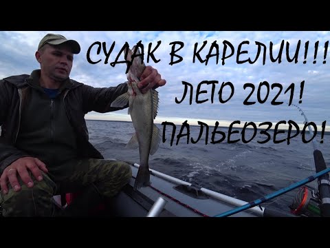 Видео: СУДАК в КАРЕЛИИ лето 2021!!!РЫБАЛКА в КАРЕЛИИ на ПАЛЬЕОЗЕРЕ!!!