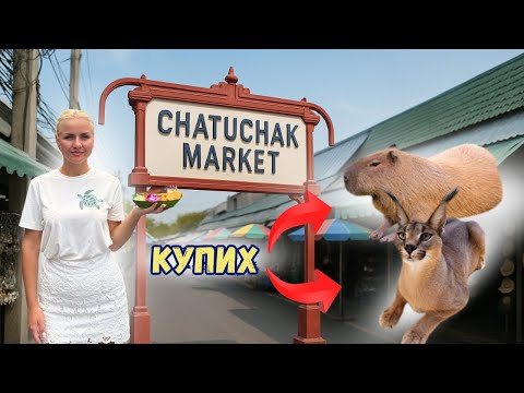 Видео: ОТИДОХ на НЕЛЕГАЛЕН ПАЗАР в БАНКОК😳