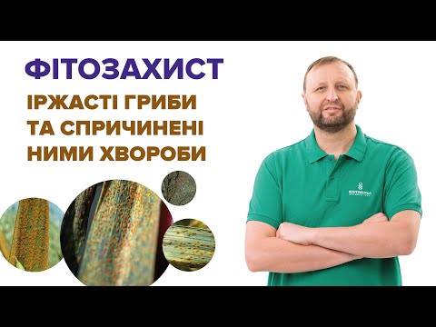 Видео: Іржа: збудники, шляхи зараження, види, шкодочинність і захист