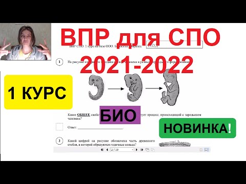 Видео: ВПР СПО по биологии 2021-2022, 1 курс. Разбираем вариант