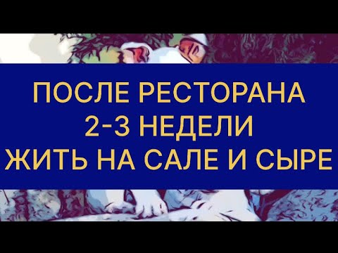 Видео: АРТЁМ СВЕТА ЧЕРНЕГИ УРЕЗАЮТ КОНТЕНТ #СамвелАдамян #saveliyad #ГрандеНико #ЧернегаСветаАртём