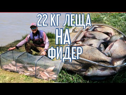 Видео: Рыбалка 2020. Ловля ЛЕЩа на ФИДЕР.