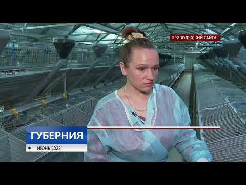 Видео: Кроликоферма современного типа