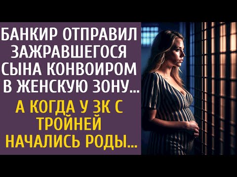 Видео: Банкир отправил зажравшегося сына конвоиром в женскую зону… А когда у зечки с тройней начались роды…