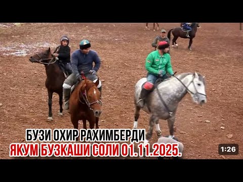 Видео: Бузкаши нохияи Б. Гафуров 1 ноября 2025 г.