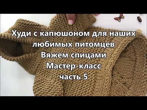 Видео: Модное худи для вашего питомца. Вяжем спицами. Мастер-класс. Часть 5