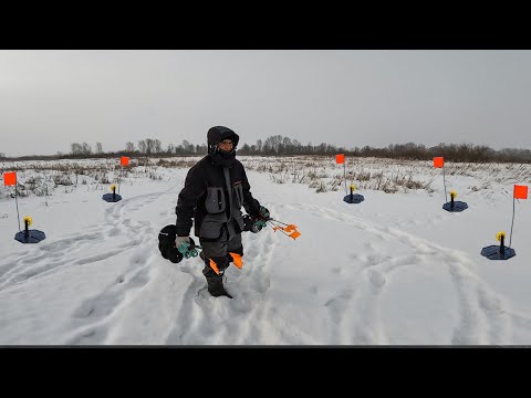 Видео: Расставил жерлицы в камышах! И сам не поверил результату! Рыбалка с ночевкой зимой.