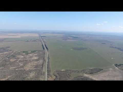 Видео: Чуровичи