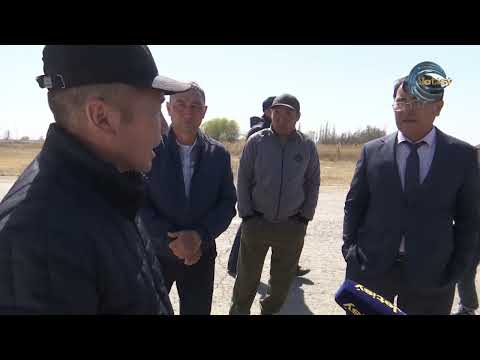 Видео: МАЛ ҰРЛЫҒЫ ӨРШІП ТҰР / ЕЛ ҚАМЫ / 06.04.2023