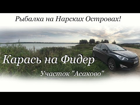 Видео: Рыбалка на Нарских Островах! Карась на Фидер. Участок "Асаково"