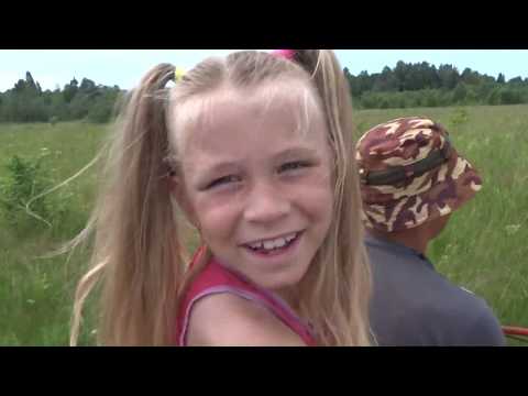 Видео: Опилки лучшая подстилка для кроликов и кур!