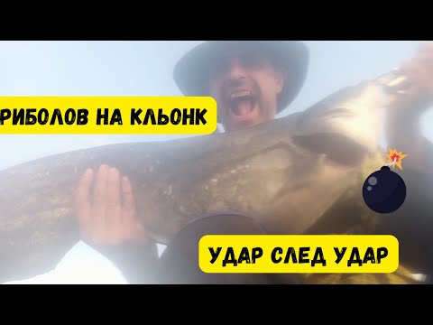 Видео: Много добър риболов на кьонк