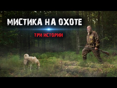 Видео: Мистика на охоте - Мистические истории из жизни (3в1).