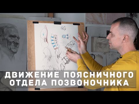 Видео: Поясничные позвонки - А. Рыжкин