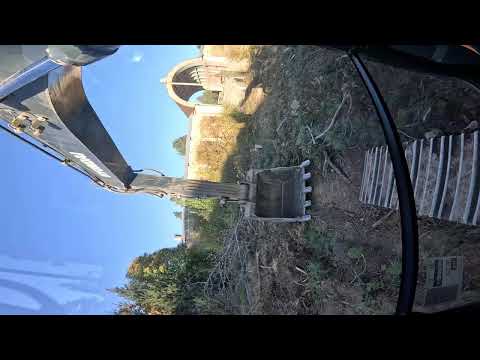 Видео: Вырубаем деревья, готовим под обустройство