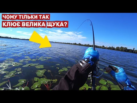 Видео: СЕКРЕТИ СПІНІНГА З БЕРЕГА як ловити Щуку Судака Окуня. Топ Наші Приманки Восени
