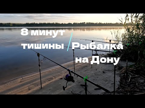 Видео: Рыбалка на сазана в Волгоградской области!