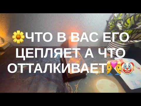 Видео: 28 октября 2025 г.