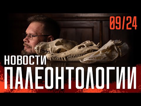 Видео: Эоценовая рыба съела летучую мышь и умерла | Эволюция челюстного сустава | Птенцы завроподоморф