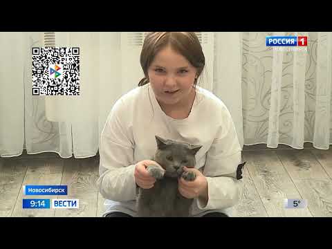 Видео: София Ганиева, 11 лет, сосудистая мальформация лица и языка