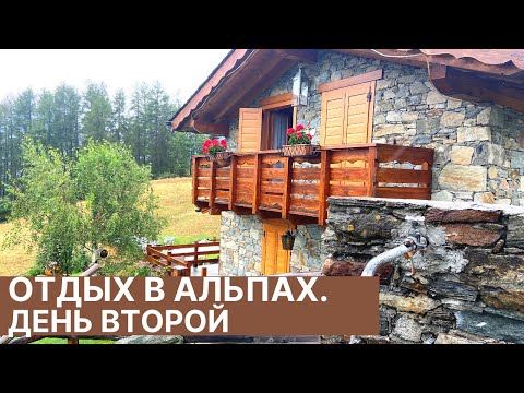 Видео: НАШ НЕЗАТЕЙЛИВЫЙ БЫТ. ЧУДЕСНЫЕ СОСЕДИ. САМЫЕ СПОРТИВНЫЕ КОРОВЫ В МИРЕ.