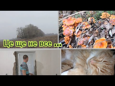 Видео: Добу без світла ,то вдома не сидиться .Але сьогодні з пустими руками 