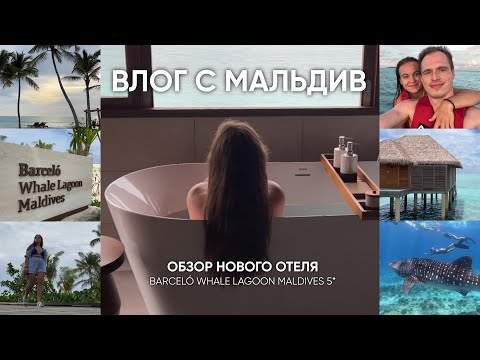 Видео: Влог с Мальдив: новый отель Barceló Whale Lagoon Maldives 5*, акулы, манты, дайвинг