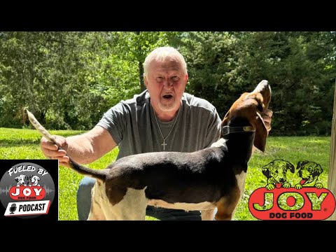 Видео: Вторник «Собачьего дерева»: Вспоминая Джеймса (Форт Марк Холл)