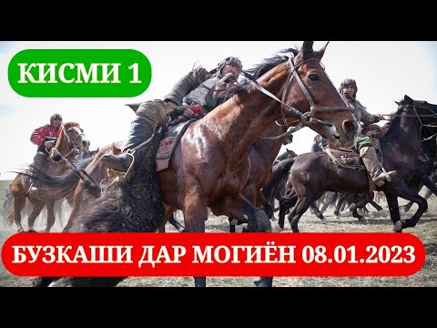 Видео: БУЗКАШИ ДАР МОҒИЁН 08.01.2023. КИСМИ 1