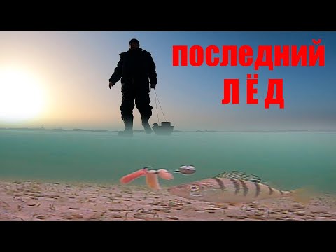 Видео: А МОЖЕТ ПОДОЙДЁТ!!! ВОТ ТАК БЫВАЕТ НА РЫБАЛКЕ
