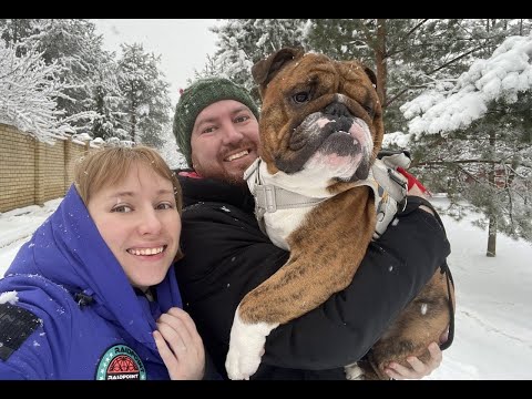 Видео: Новый год 2025