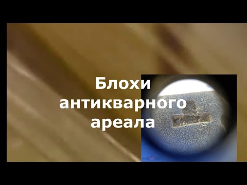 Видео: Фальшивый антиквариат. 2 серия. Блохи антикварного ареала.