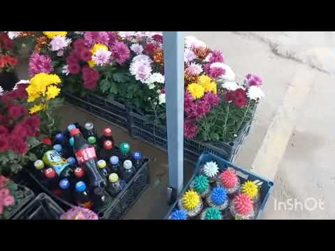 Видео: 28 ОКТЯБРЬ  ГУЛЛАРИМИЗГА ЯХШИ ДОРИЛАРДАН  БЕРАМИЗ🪴🌲🪴🍁☘️🍀🌹🥀🌺🪻⚘️🌷