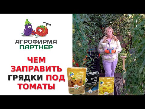 Видео: ЧЕМ ЗАПРАВИТЬ ГРЯДКИ ПОД ТОМАТЫ