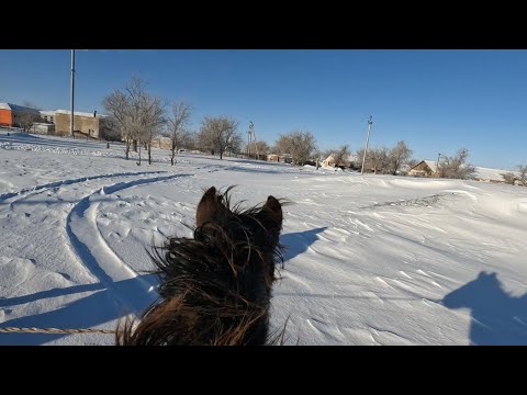 Видео: Боян кеткен жоқ. Қар,боран