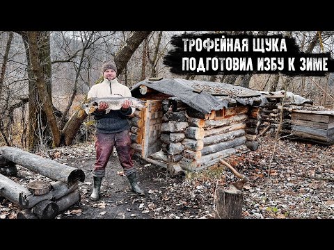 Видео: Трофейная Щука/Подготавливаю Лесную избу к зиме