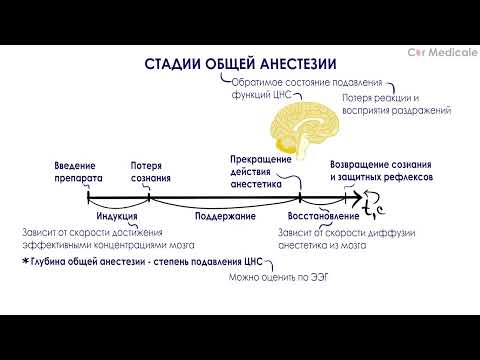 Видео: Стадии общей анестезии - Общие и местные анестетики