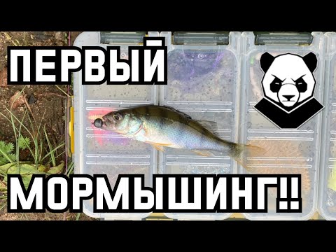 Видео: Дилетантский мормышинг. DAYO Prestige