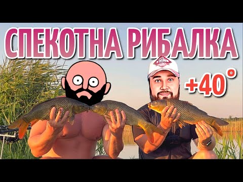 Видео: Шалені коропи дали жару! Новий ставок! +КОНКУРС