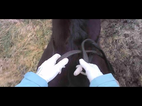 Видео: Тренировка на камере 25.02.2024 - пробую новую камеру